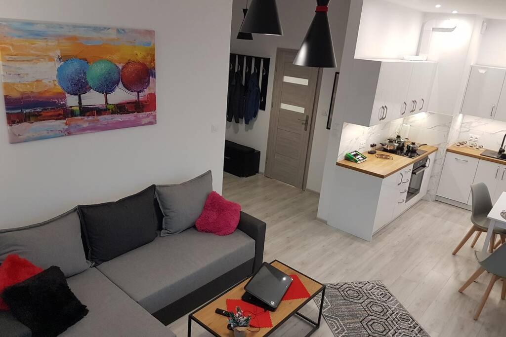 Komfortowy Nowoczesny Apartament Kustronia Z Garazem Balkonem Wanna بييلسكو بياوا المظهر الخارجي الصورة